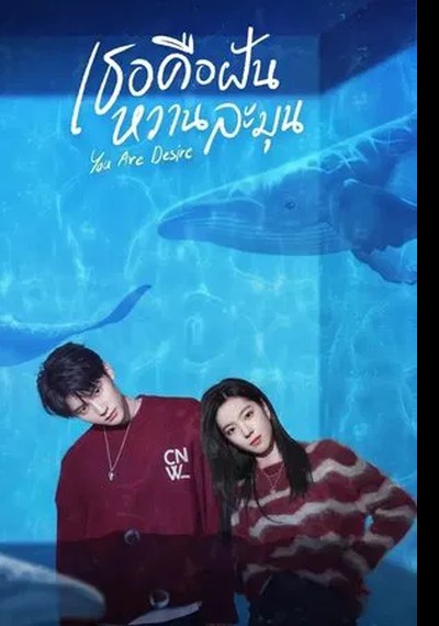 ดูหนังออนไลน์ ซีรี่ส์เกาหลี You Are Desire (2023) เธอคือฝันหวานละมุน EP.1-31 (จบ) ดูหนังออนไลน์ ซีรี่ส์เกาหลี You Are Desire (2023) เธอคือฝันหวานละมุน EP.1-31 (จบ)